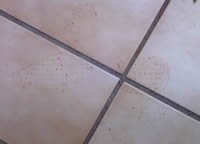 30set12-sc-del.miotto.3