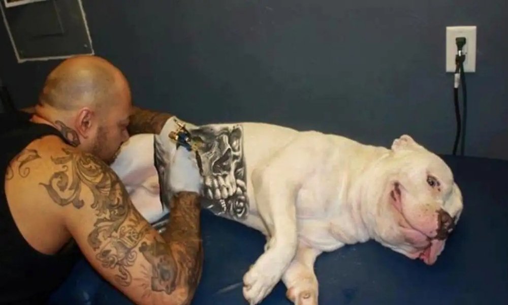14OUT25-TATUAGEM-PET